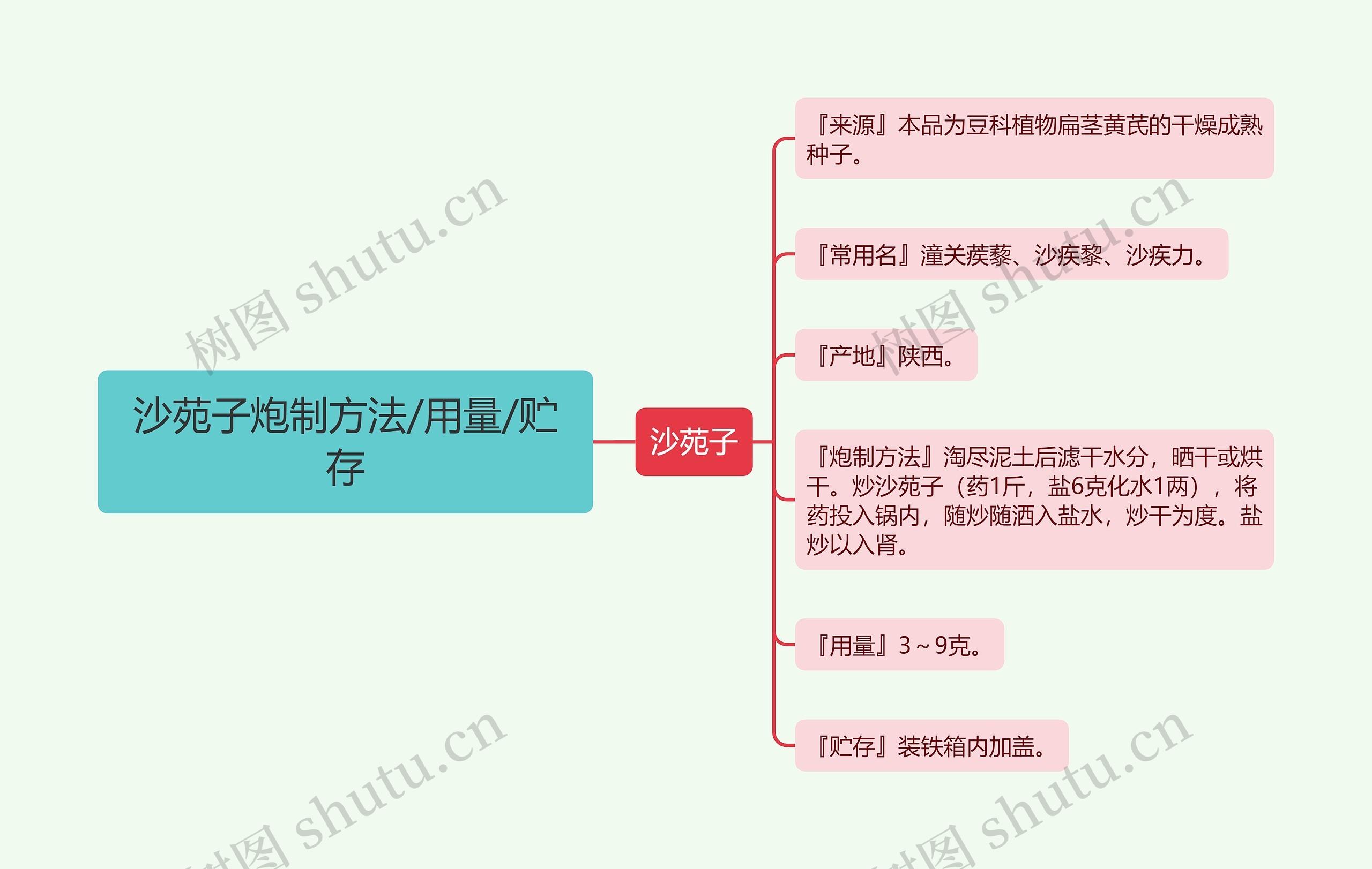 沙苑子炮制方法/用量/贮存思维导图