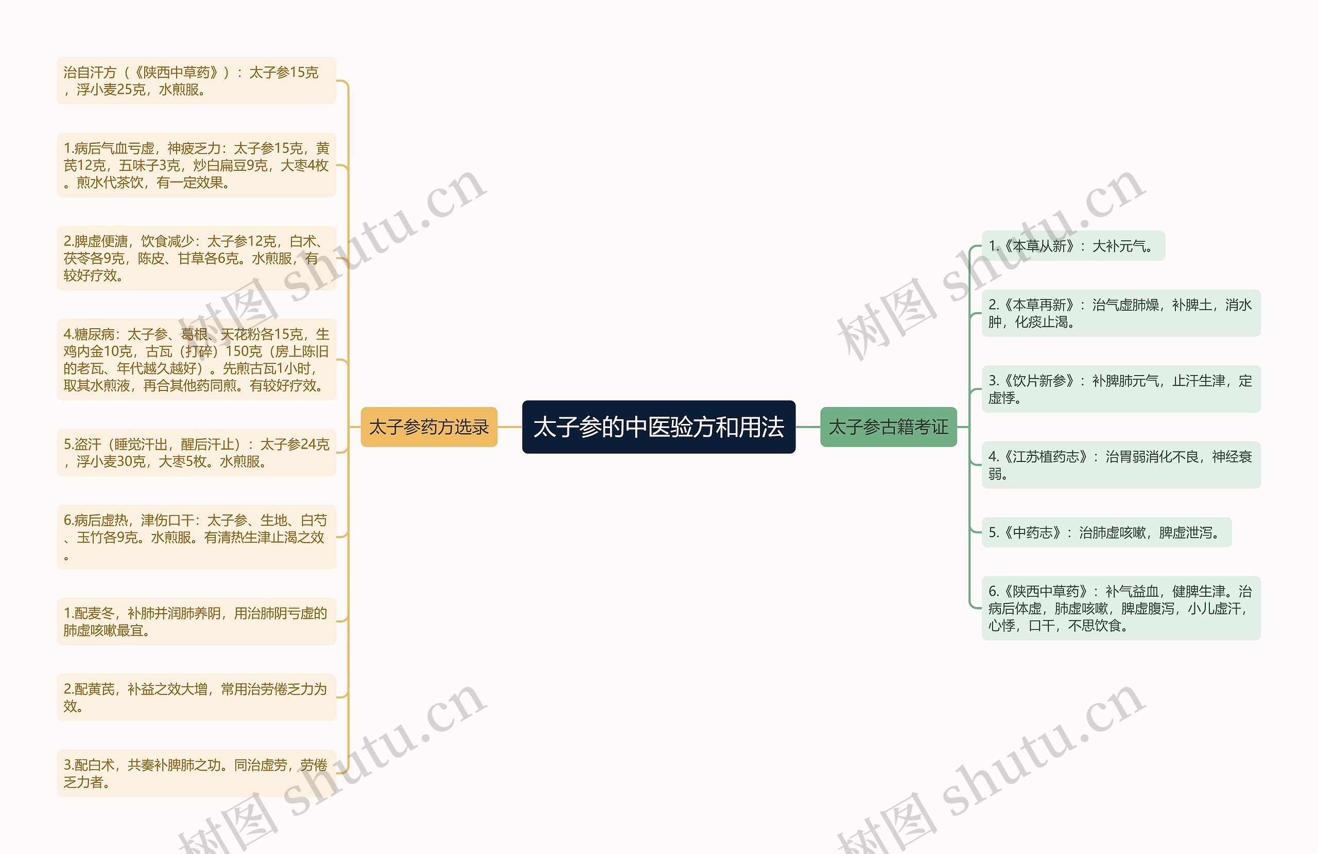 太子参的中医验方和用法思维导图