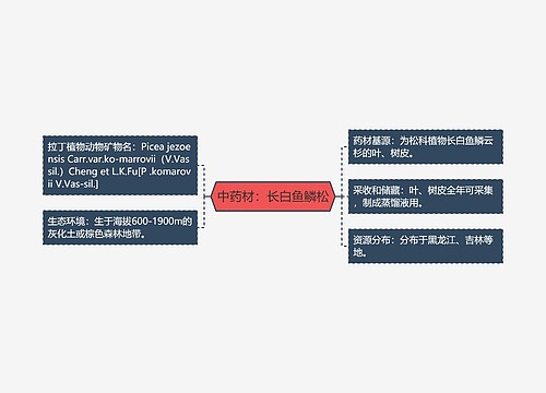 中药材：长白鱼鳞松