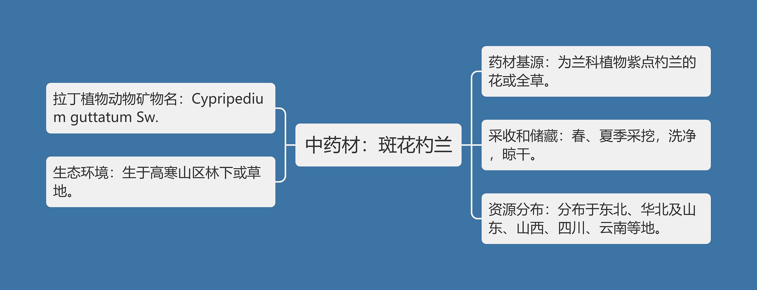 中药材：斑花杓兰思维导图