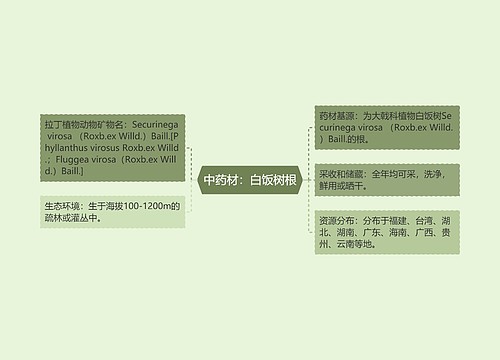 中药材：白饭树根