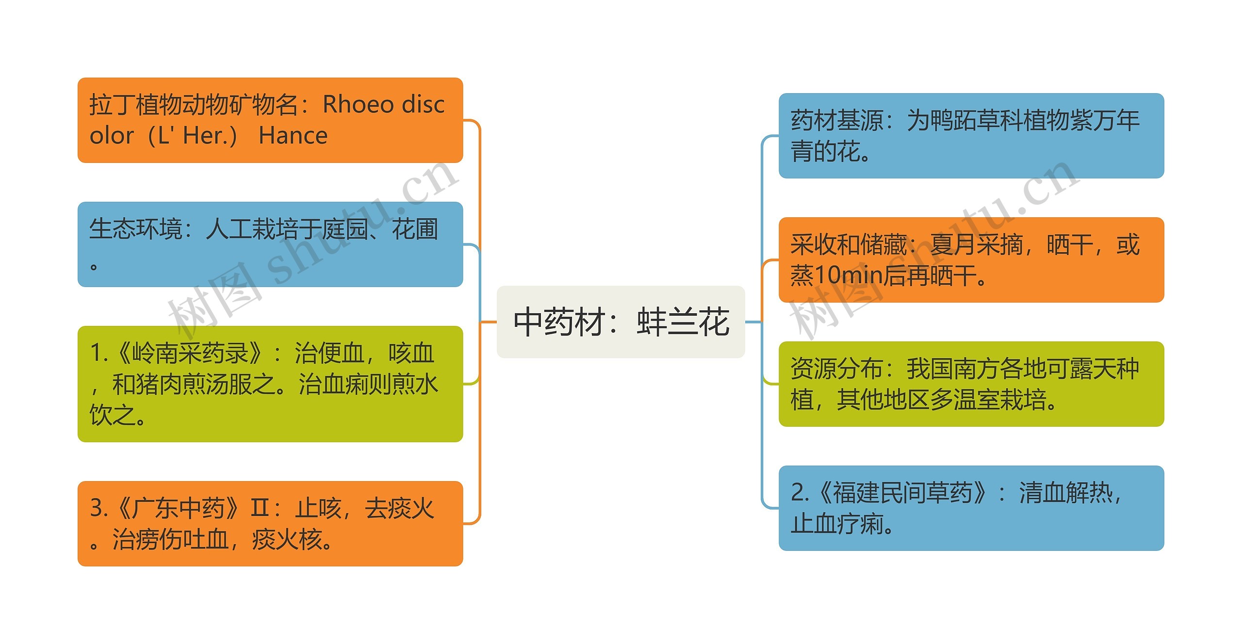 中药材：蚌兰花思维导图