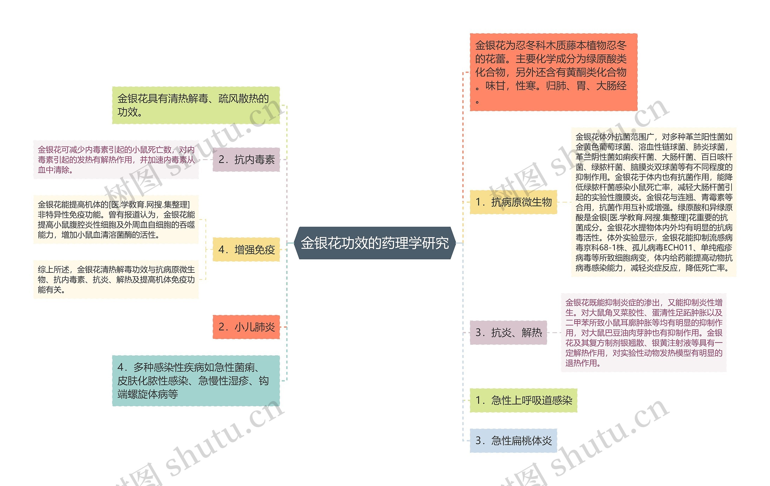 金银花功效的药理学研究思维导图