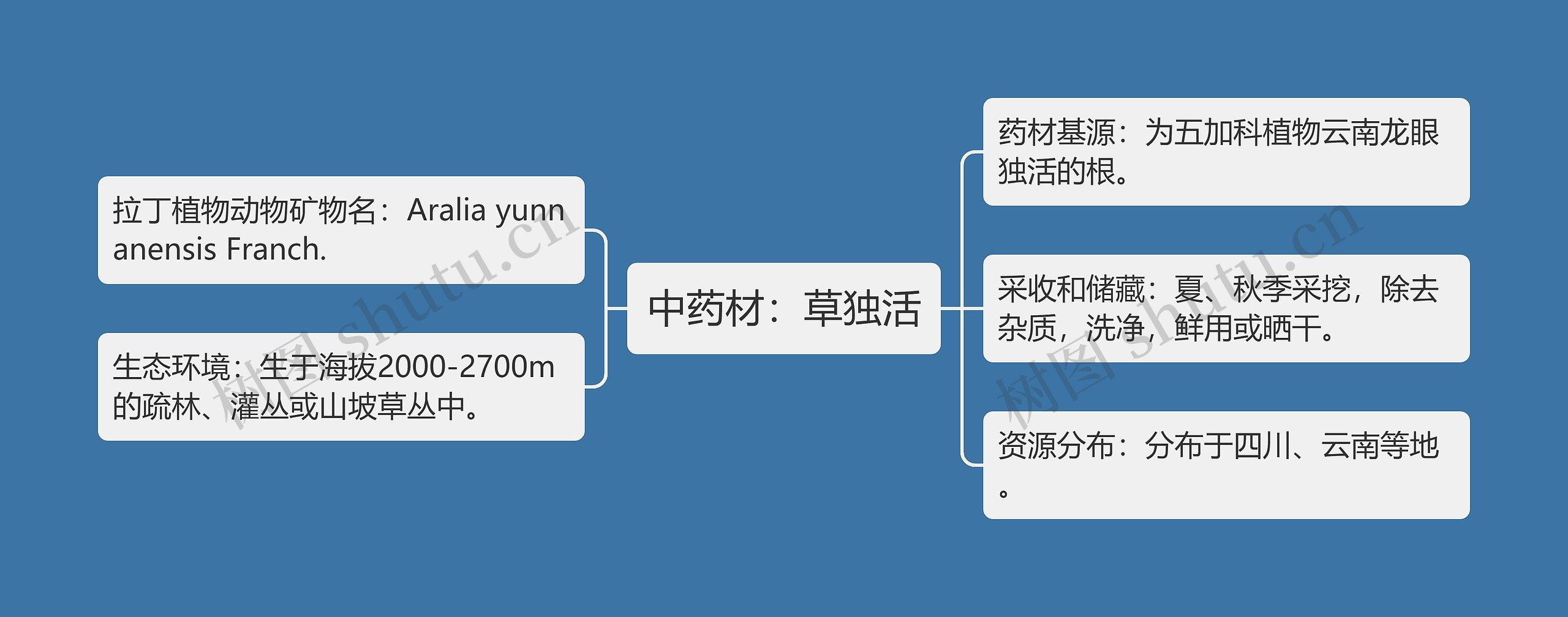 中药材：草独活思维导图