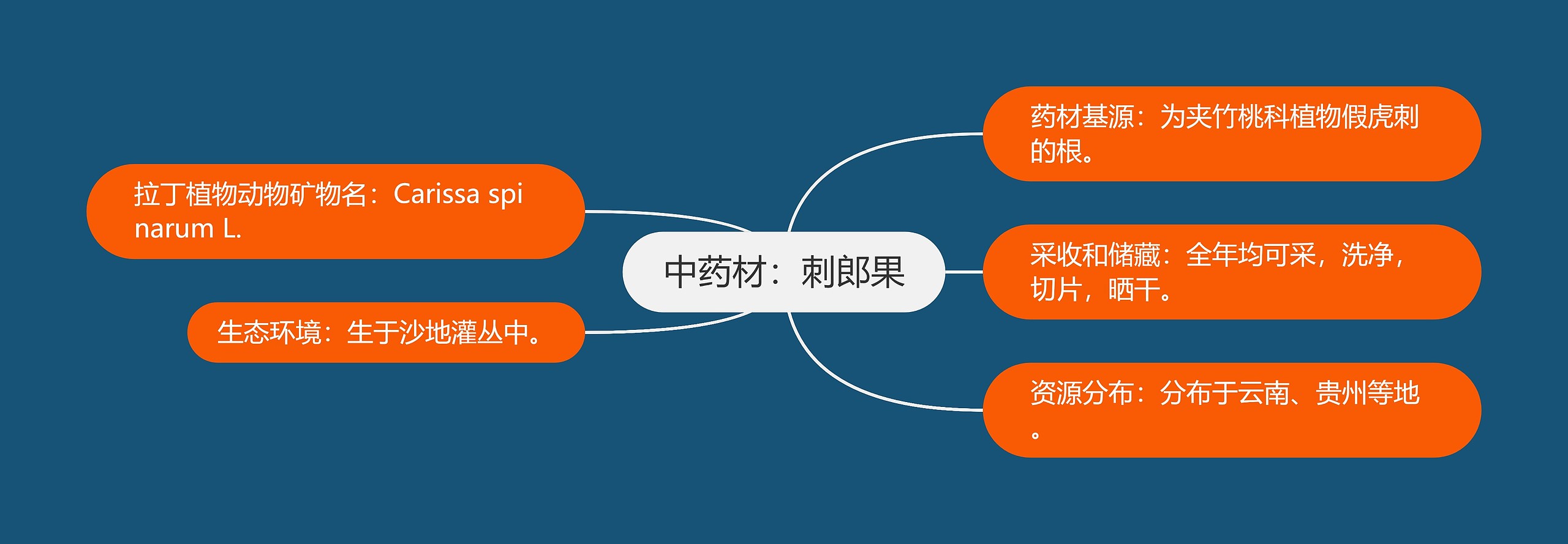 中药材：刺郎果思维导图