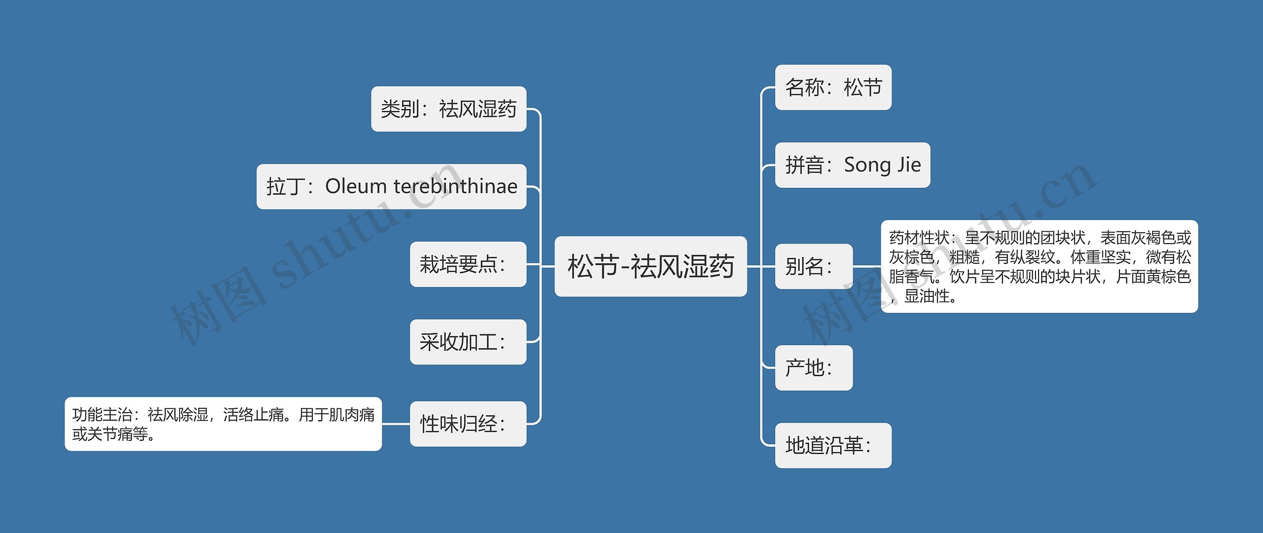 松节-祛风湿药思维导图