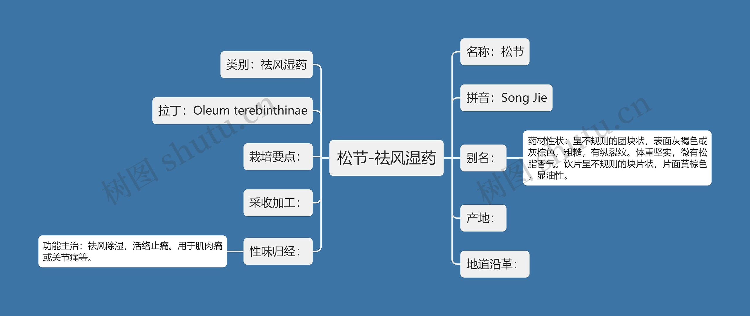松节-祛风湿药 松节-祛风湿药