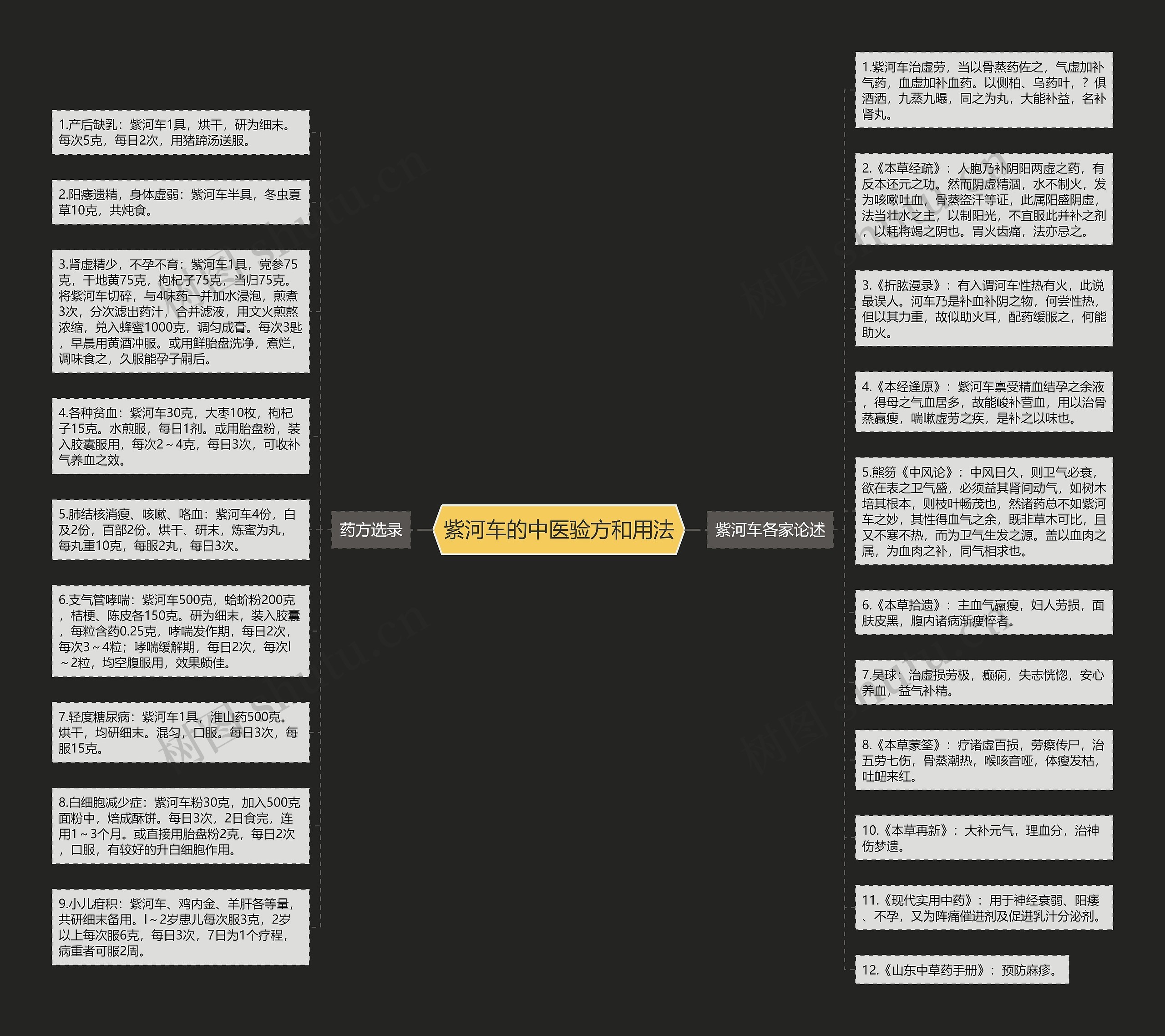 紫河车的中医验方和用法思维导图
