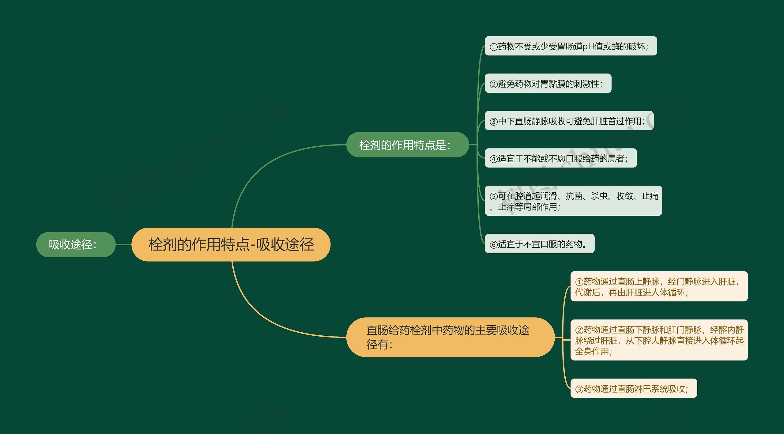 栓剂的作用特点-吸收途径思维导图