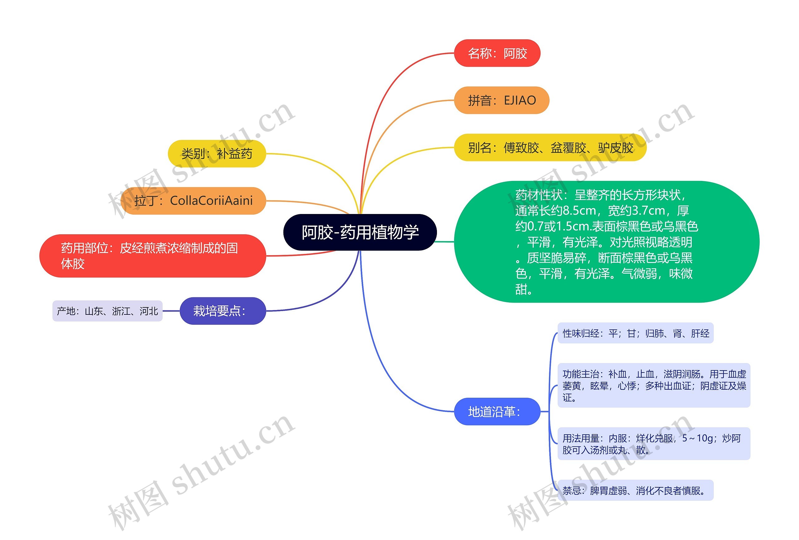 阿胶-药用植物学思维导图