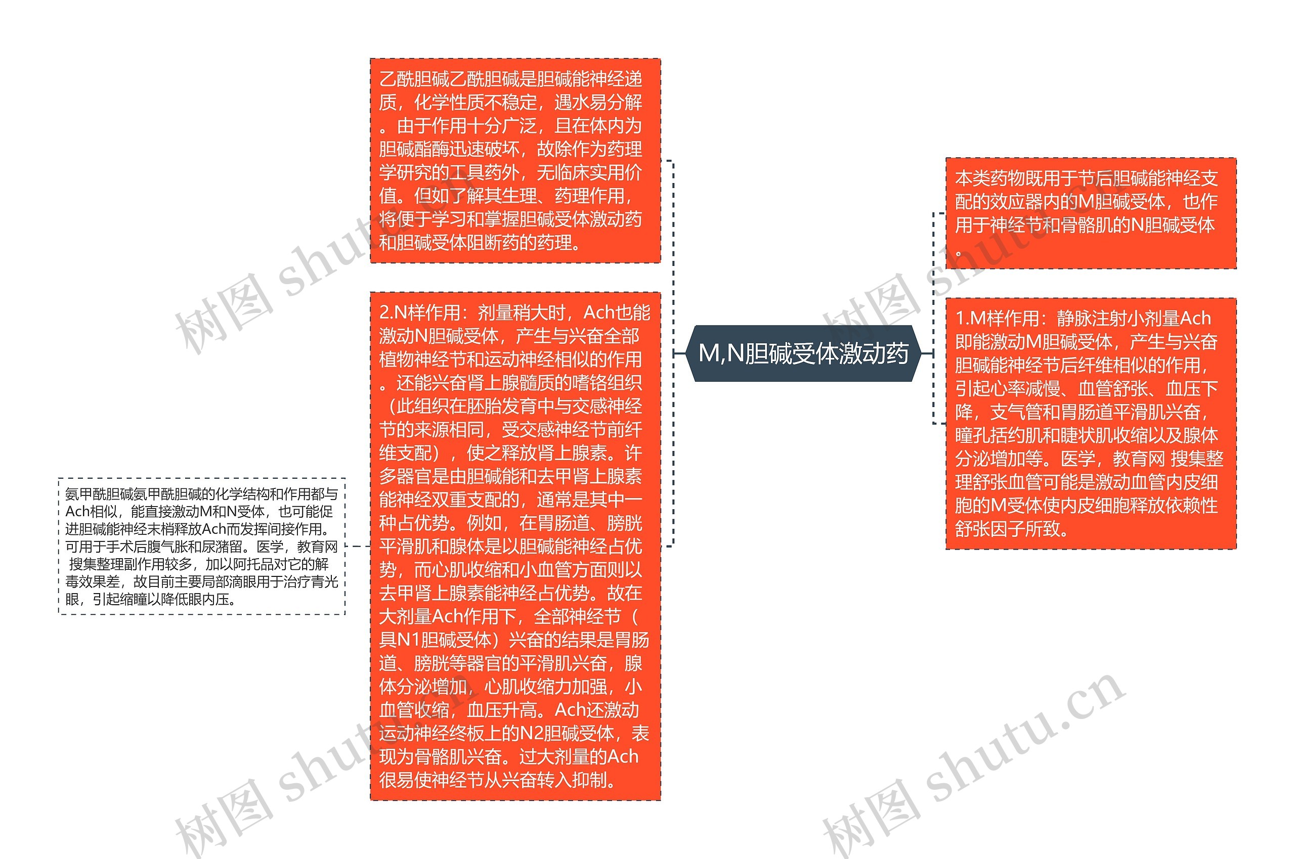 M,N胆碱受体激动药思维导图