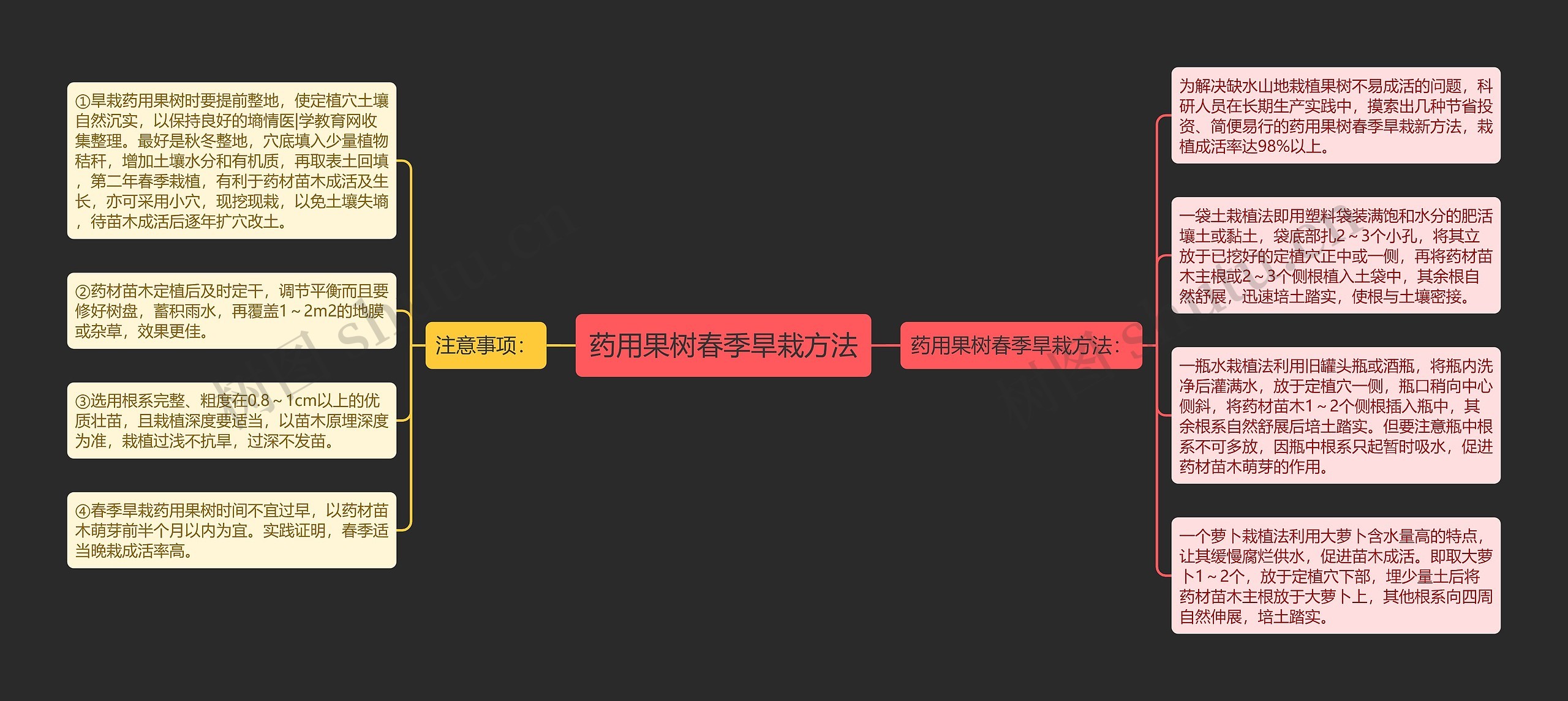 药用果树春季旱栽方法