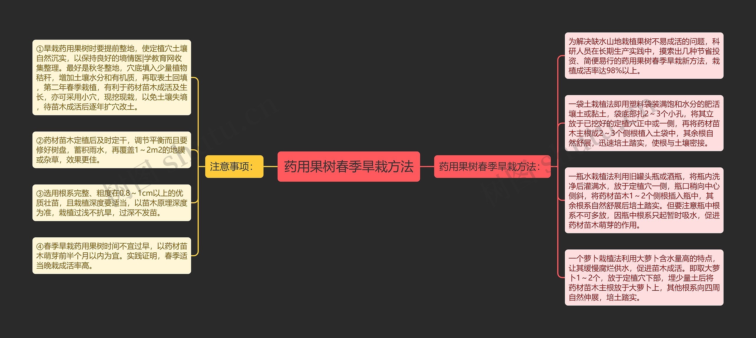 药用果树春季旱栽方法思维导图