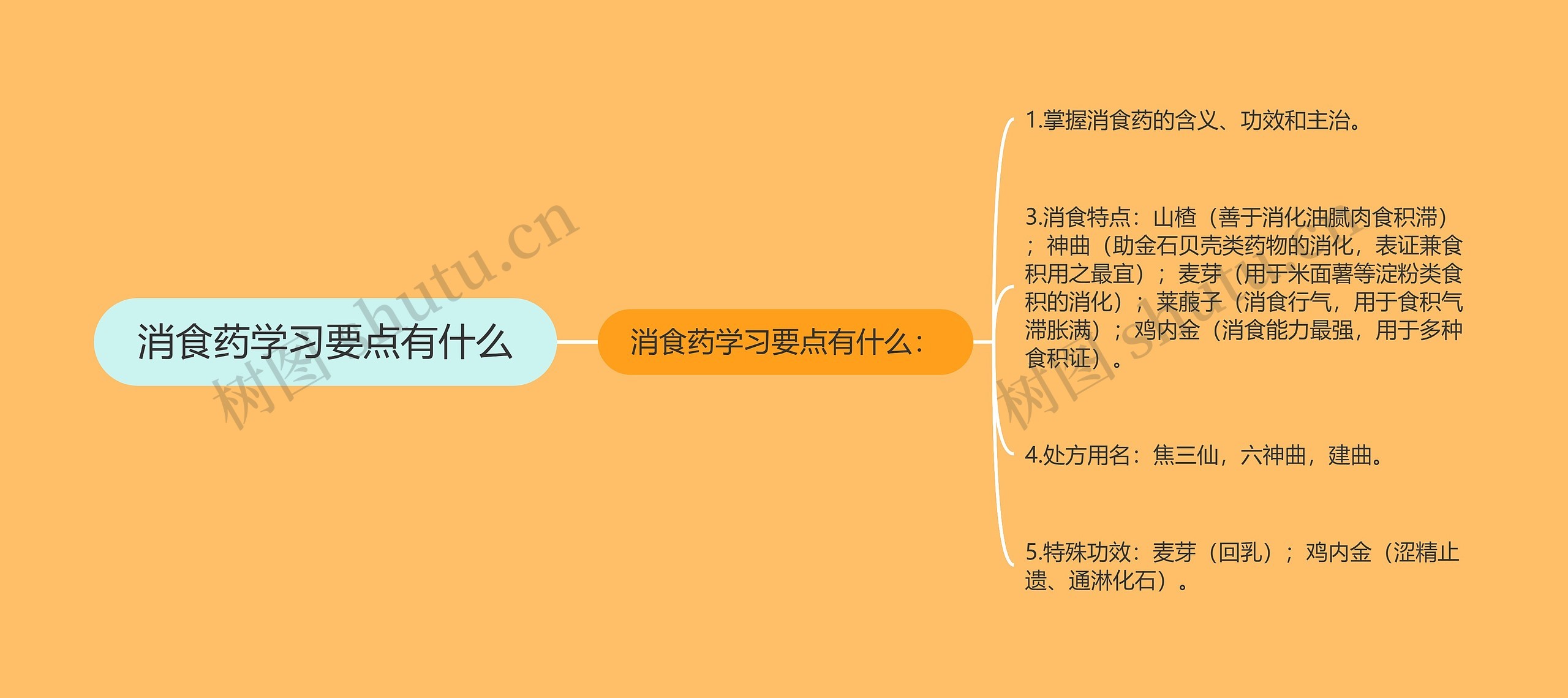 消食药学习要点有什么思维导图高清图 消食药学习要点有什么思维导图