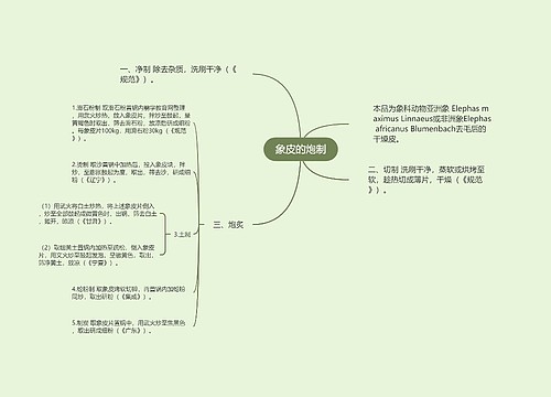 象皮的炮制思维导图