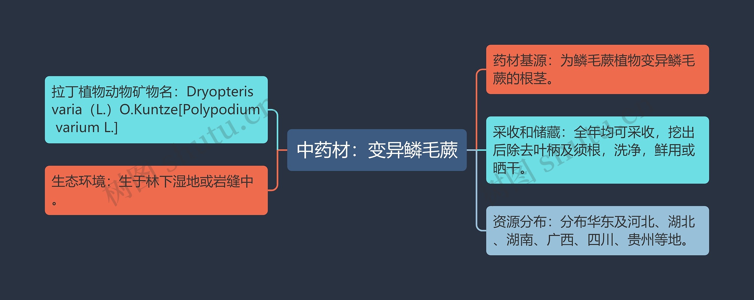 中药材：变异鳞毛蕨