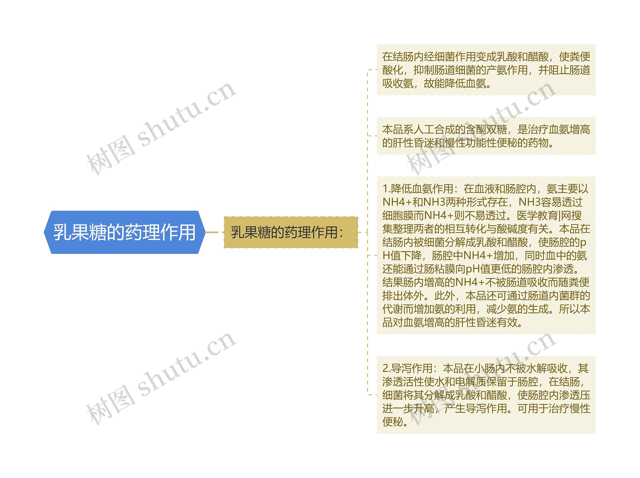 乳果糖的药理作用