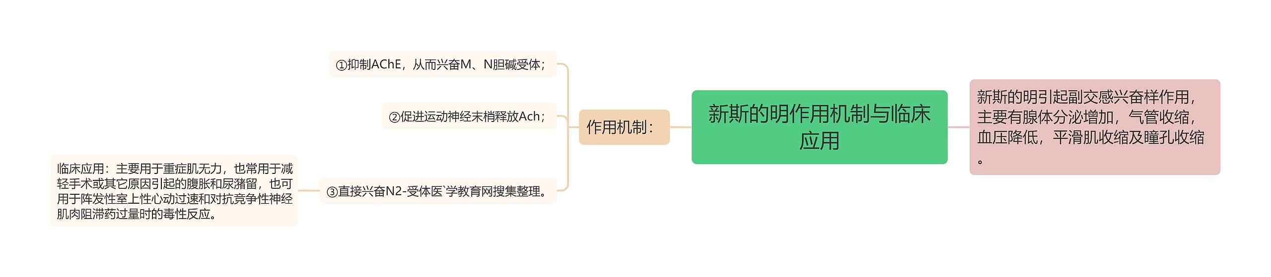 新斯的明作用机制与临床应用思维导图