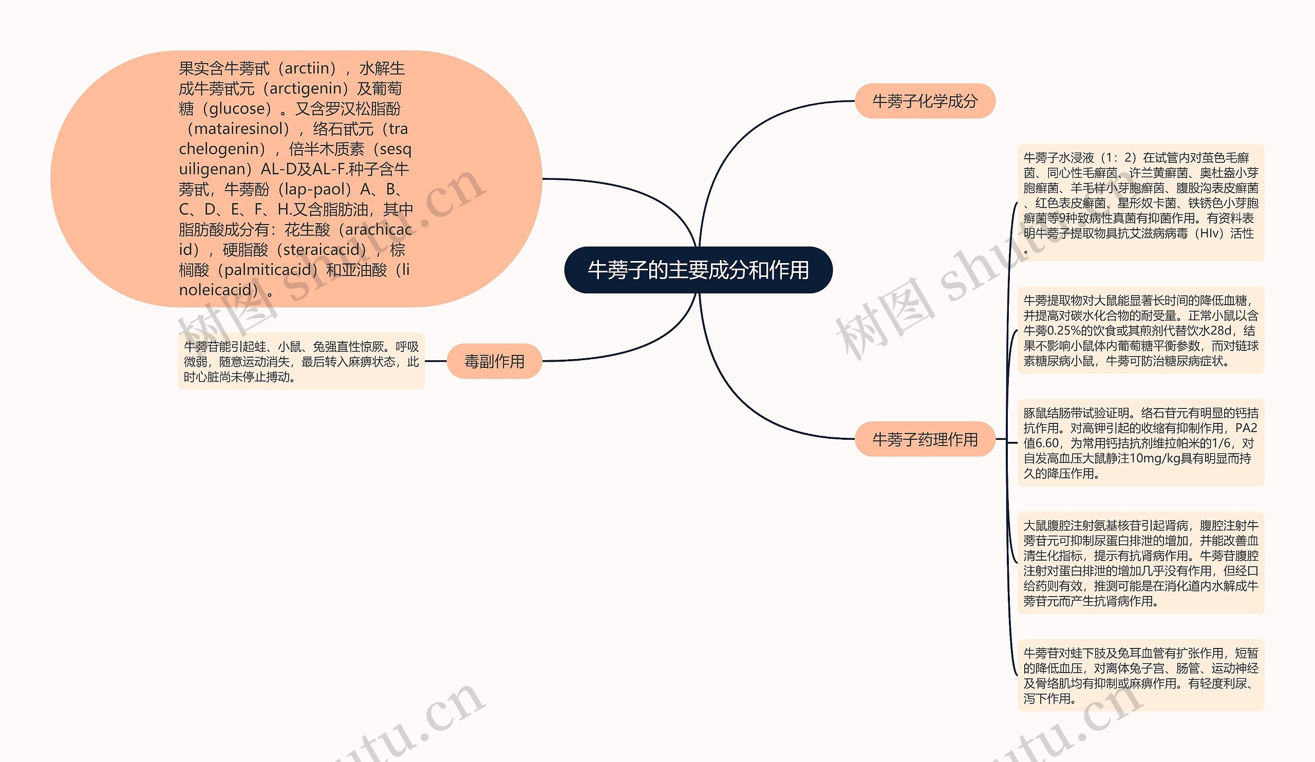 牛蒡子的主要成分和作用思维导图