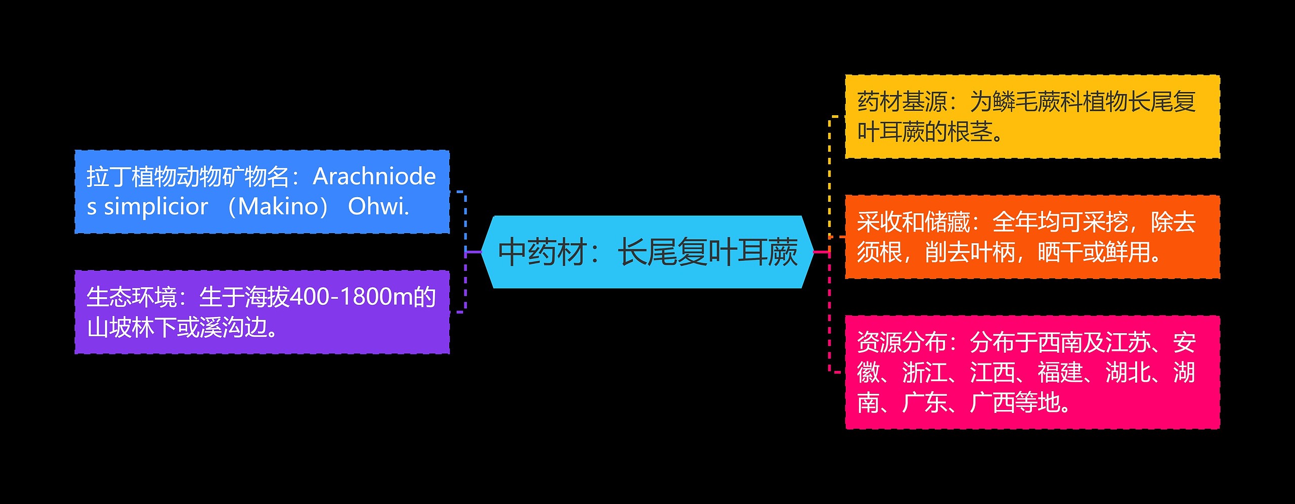 中药材：长尾复叶耳蕨思维导图