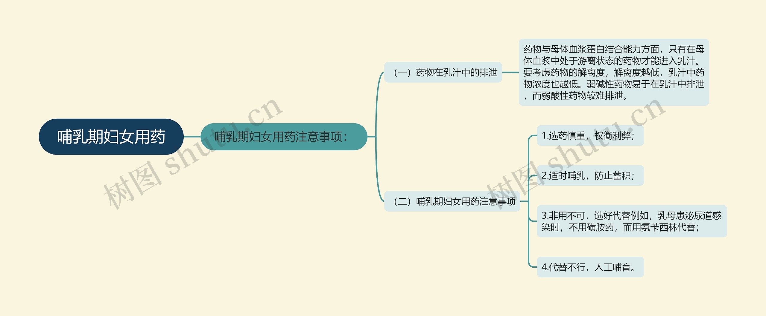 哺乳期妇女用药 哺乳期妇女用药