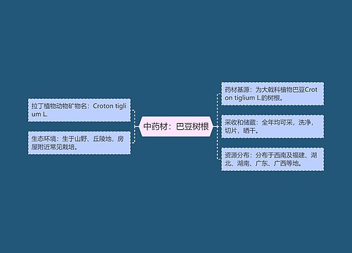 中药材:巴豆树根 中药材:巴豆树根