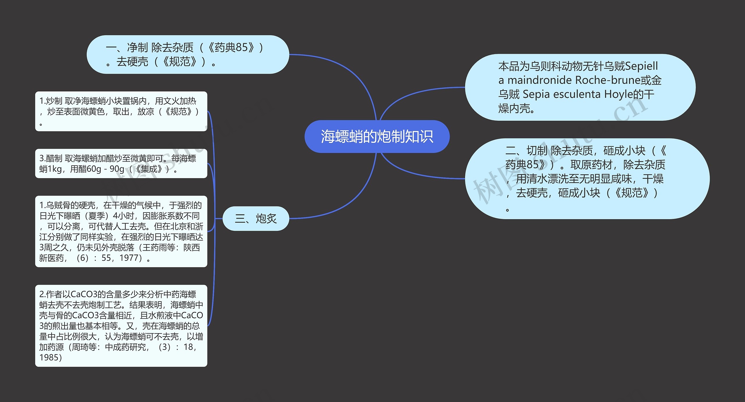 海螵蛸的炮制知识