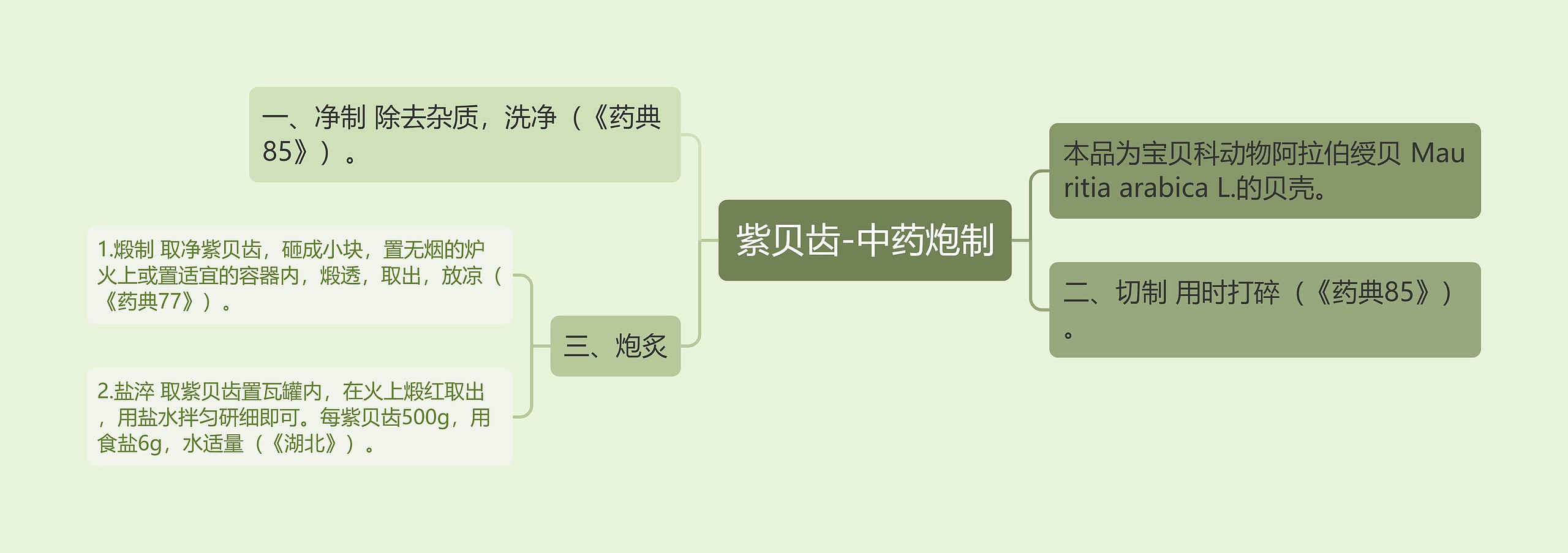 紫贝齿-中药炮制思维导图