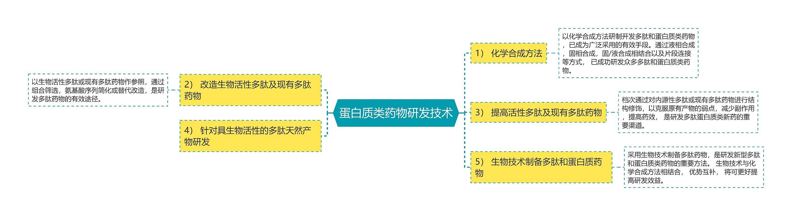 蛋白质类药物研发技术