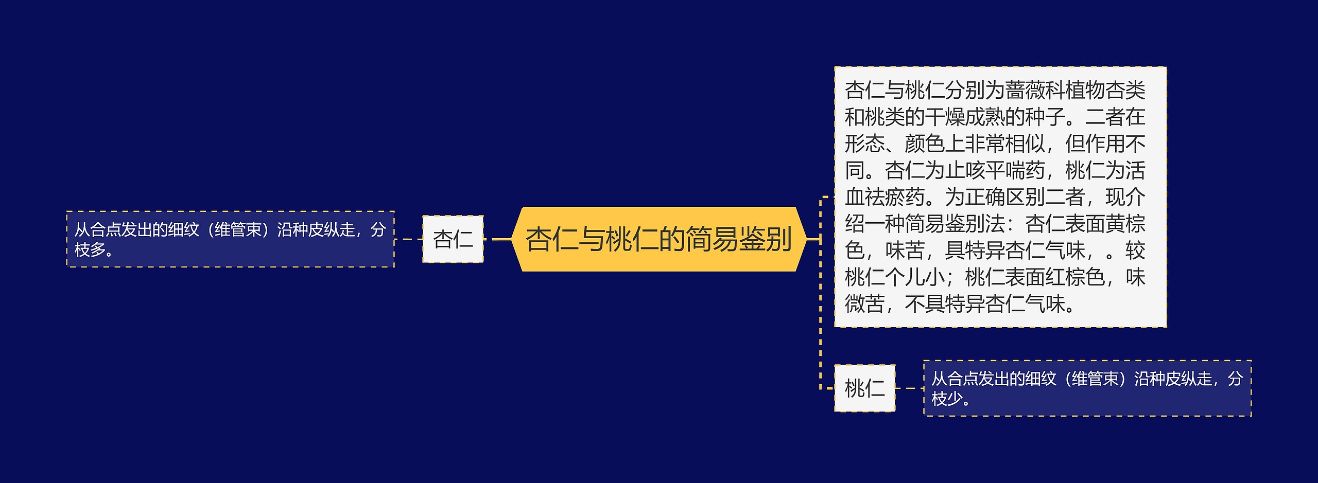 杏仁与桃仁的简易鉴别 杏仁与桃仁的简易鉴别