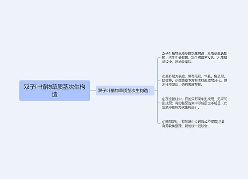 双子叶植物草质茎次生构造