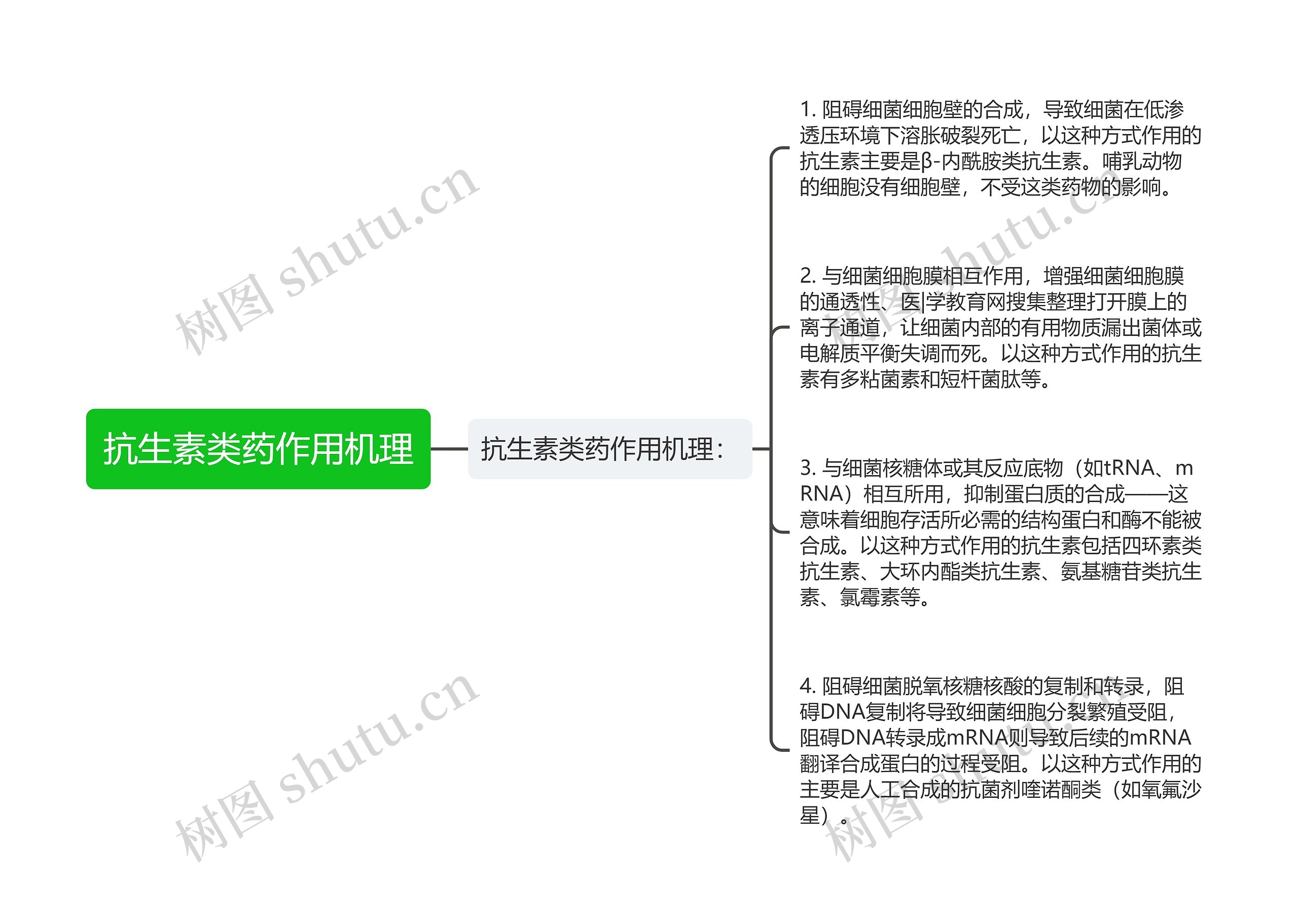 抗生素类药作用机理思维导图