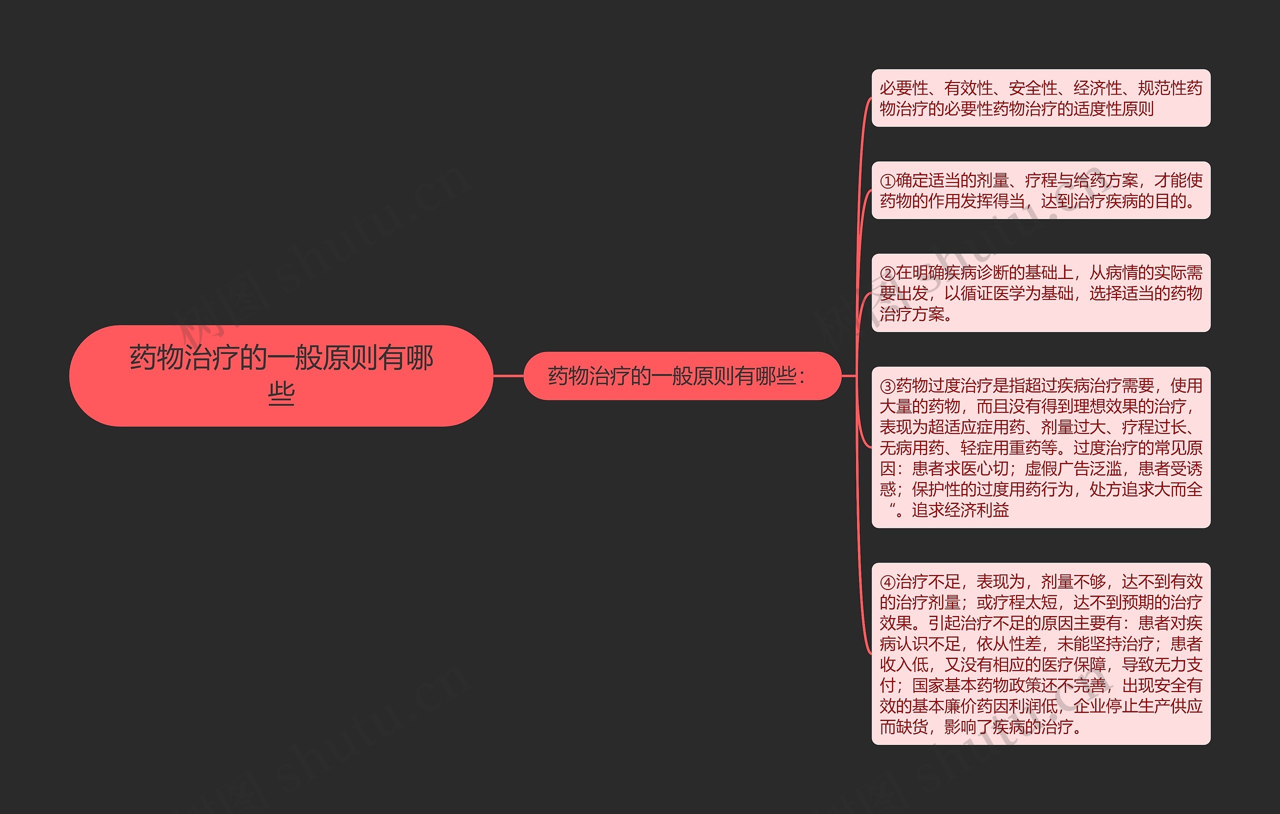 药物治疗的一般原则有哪些思维导图