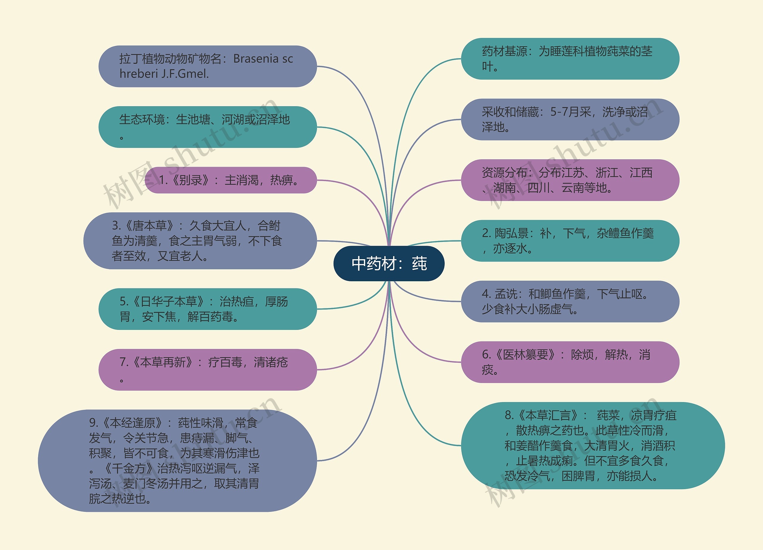 中药材：莼思维导图