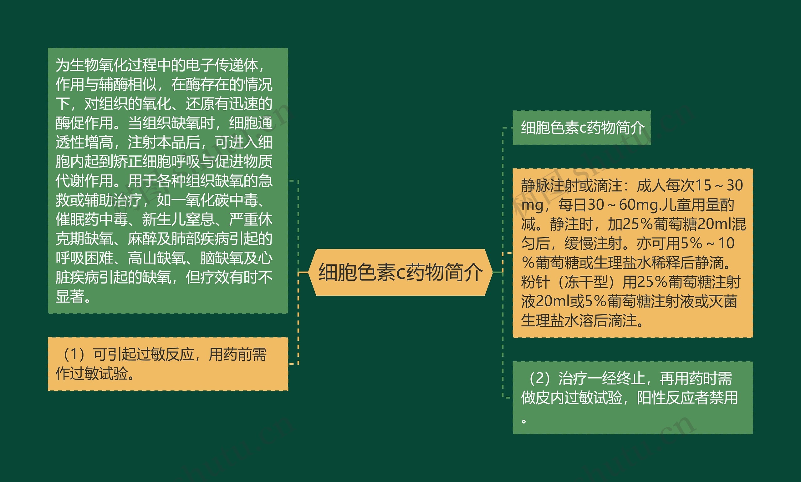 细胞色素c药物简介