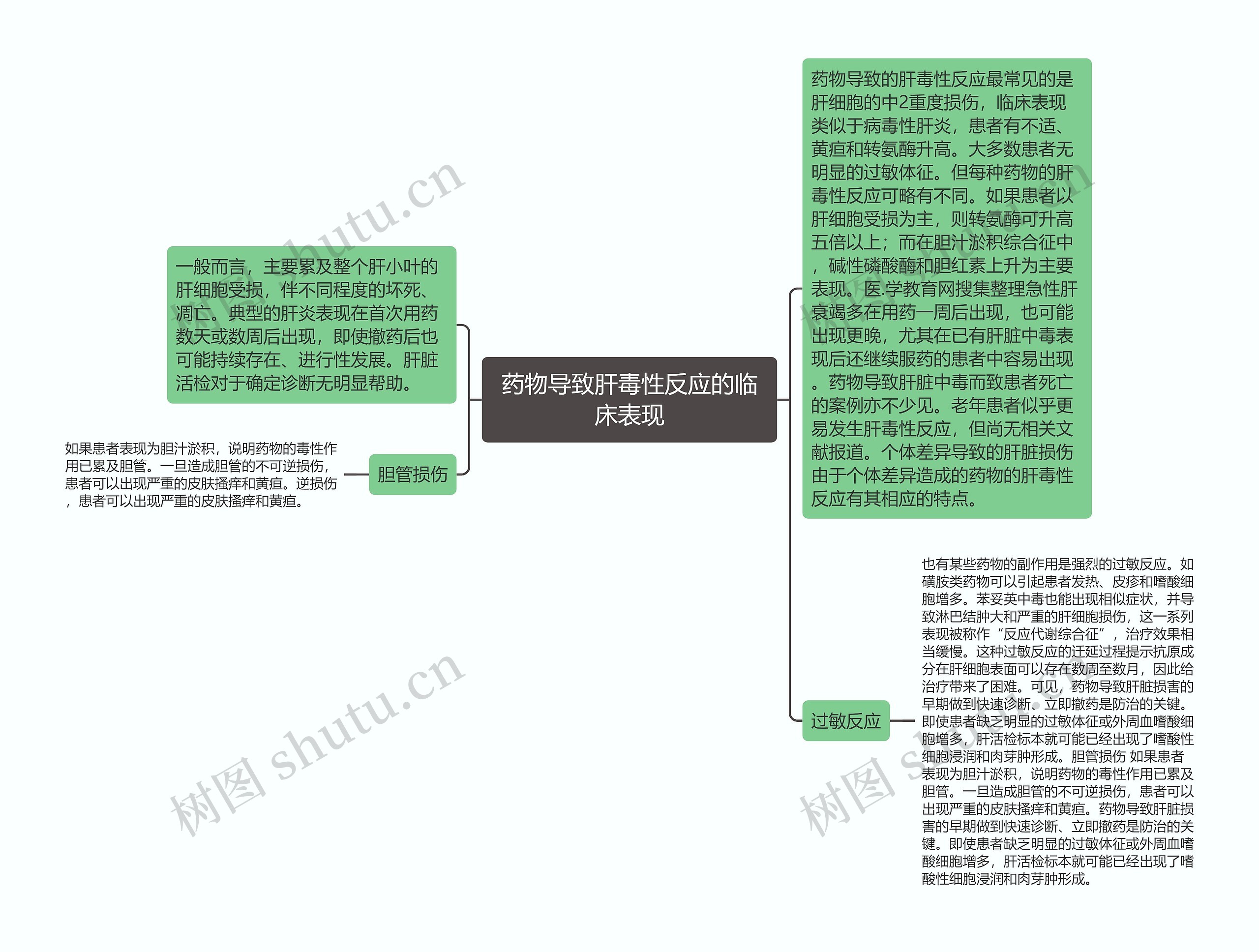 药物导致肝毒性反应的临床表现