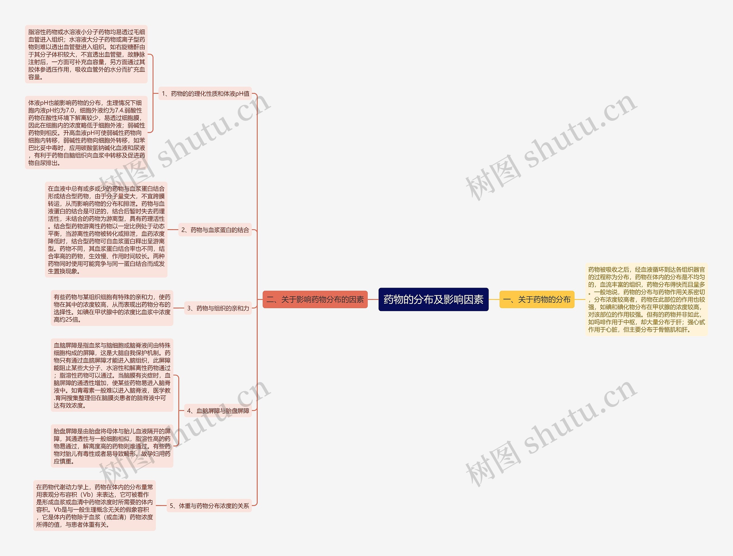 药物的分布及影响因素思维导图