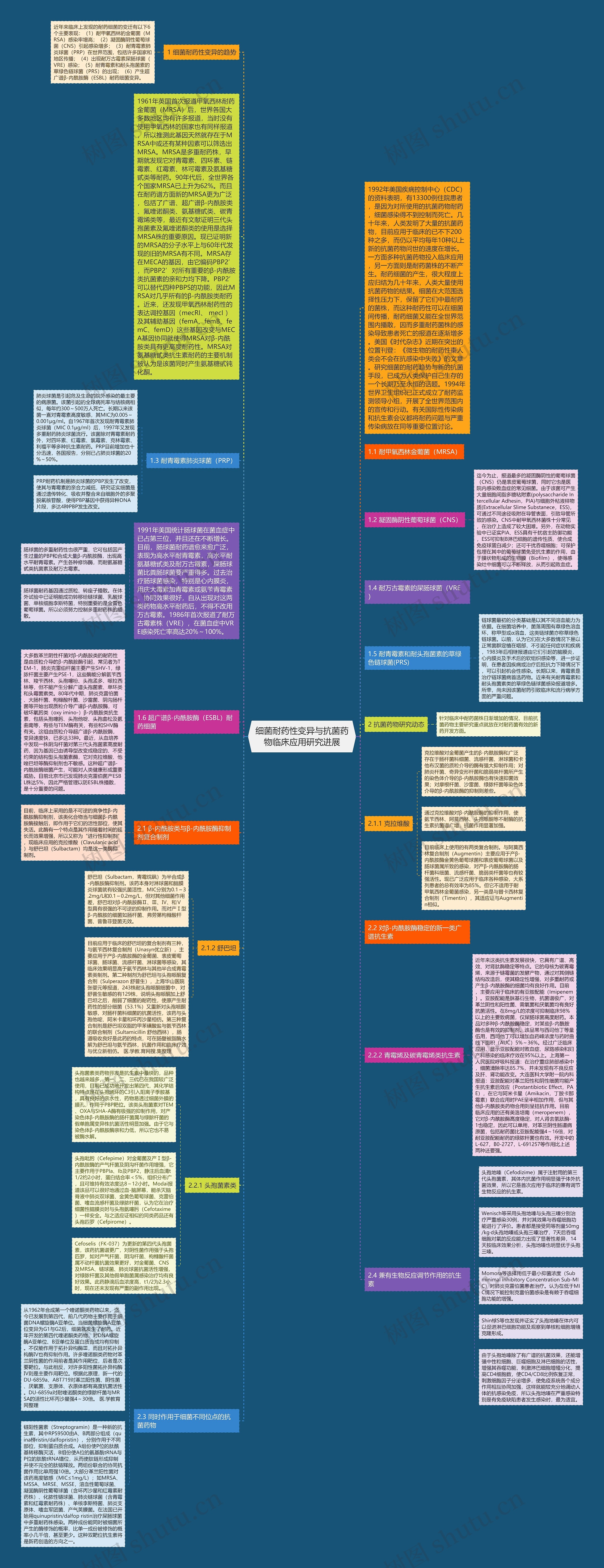 细菌耐药性变异与抗菌药物临床应用研究进展思维导图
