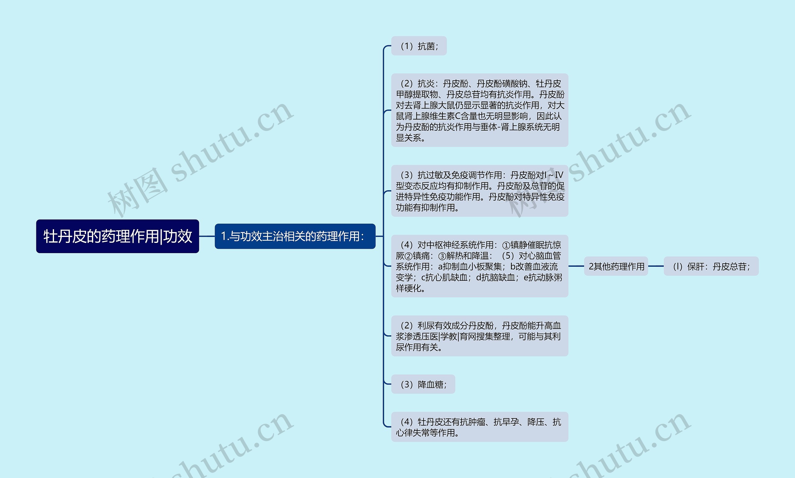 牡丹皮的药理作用|功效思维导图