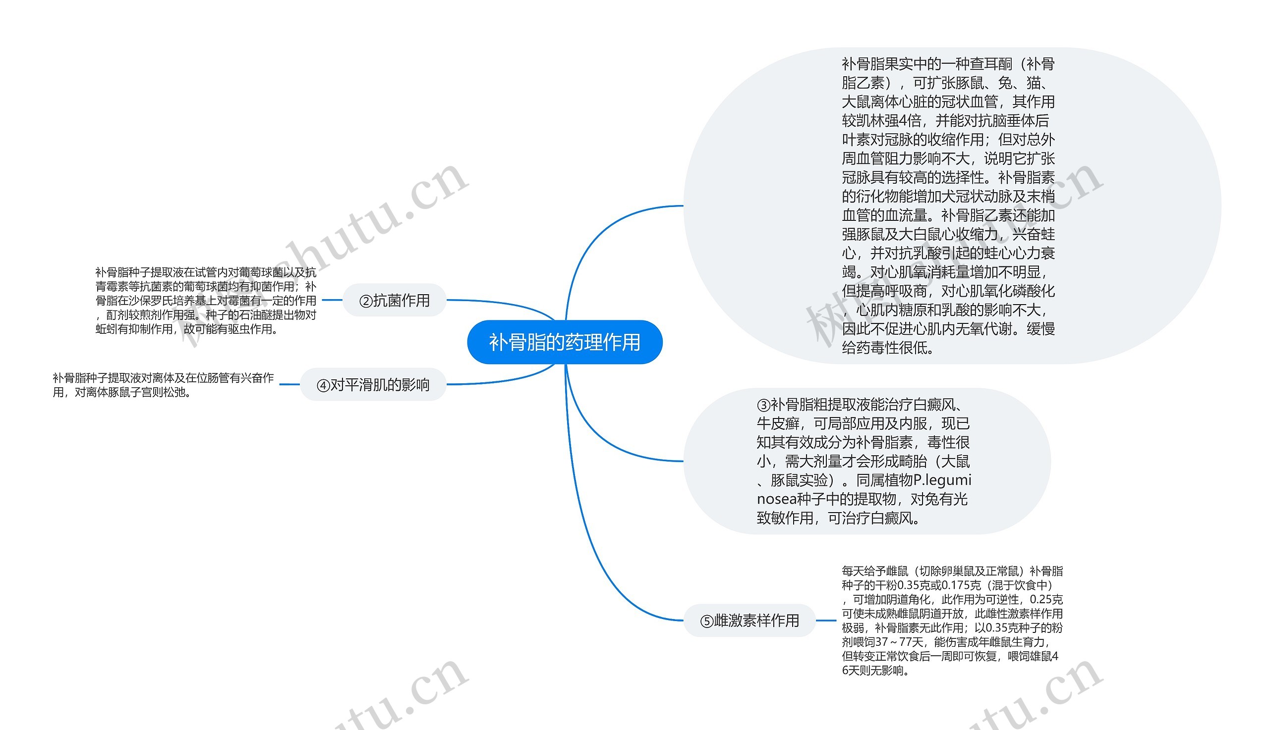 补骨脂的药理作用