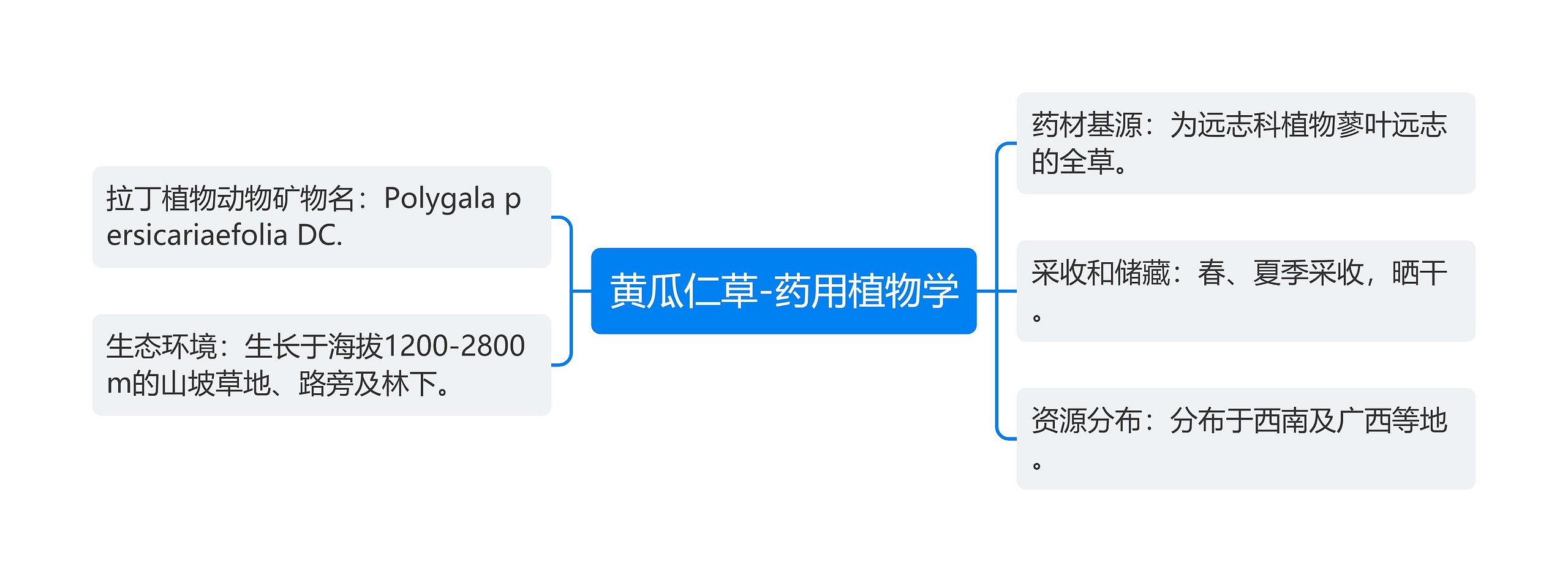 黄瓜仁草-药用植物学思维导图