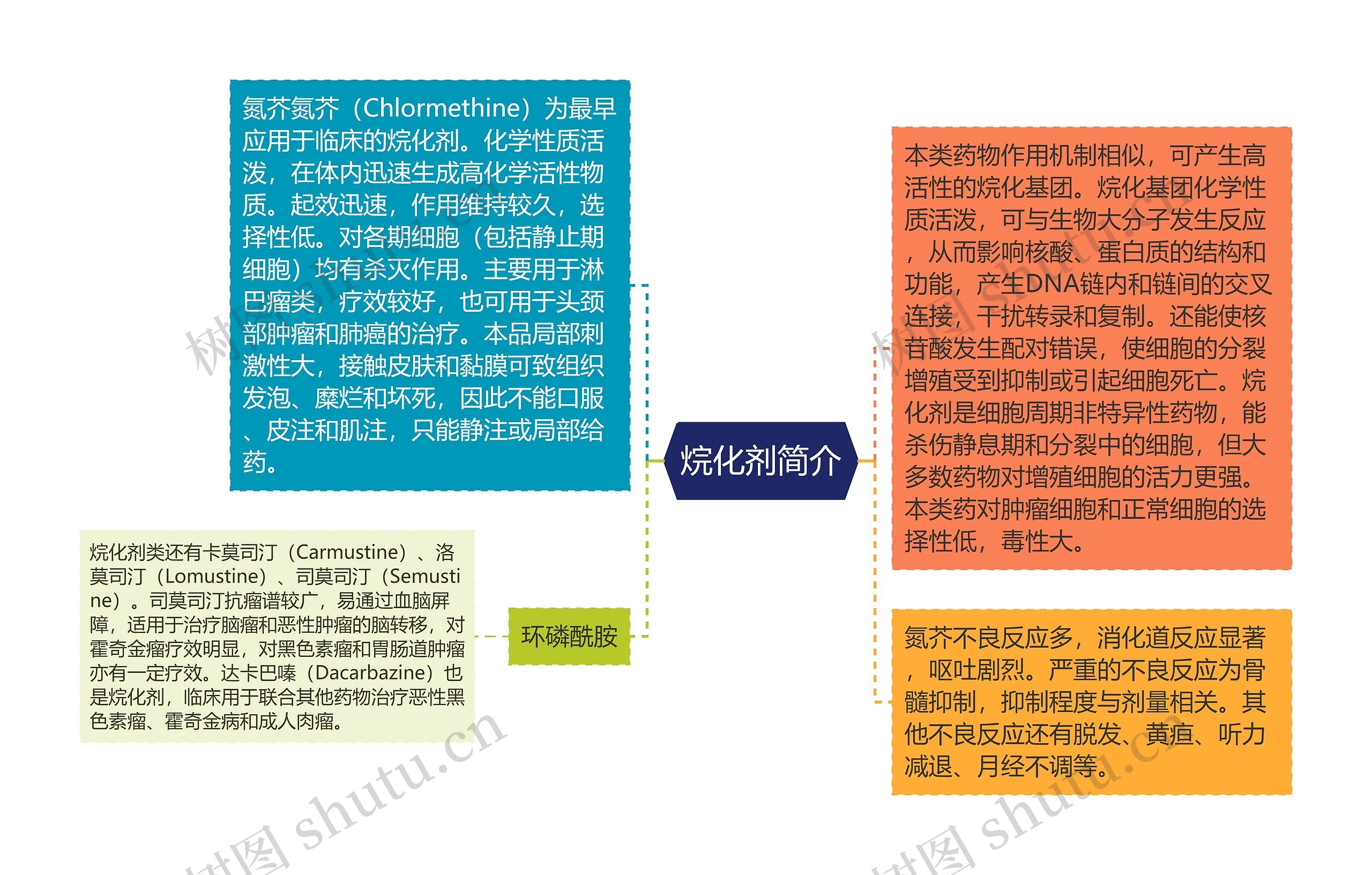 烷化剂简介思维导图