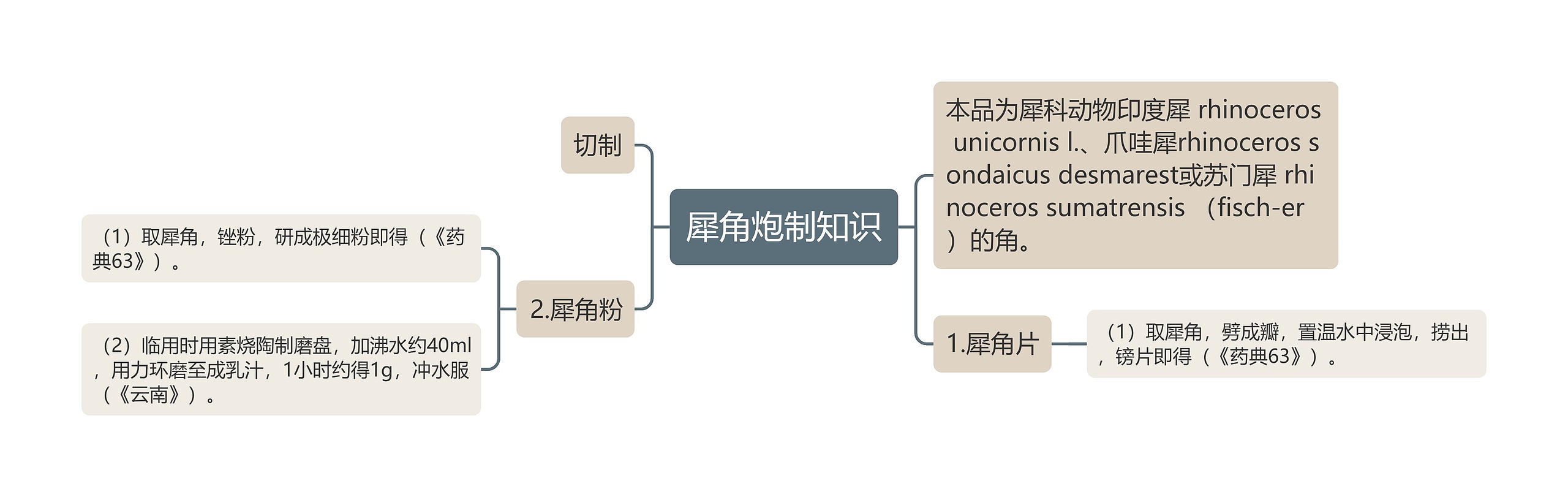 犀角炮制知识思维导图