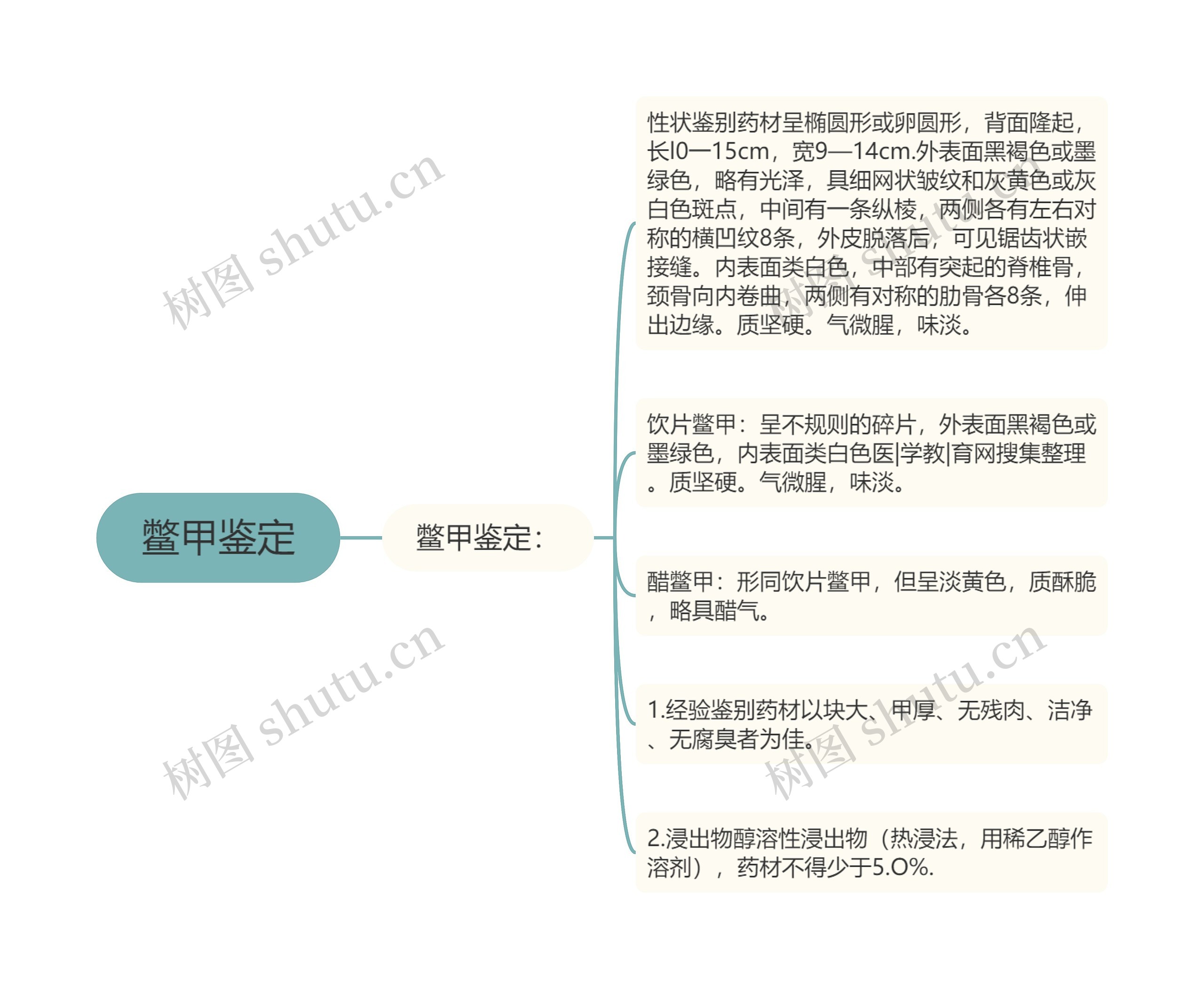 鳖甲鉴定 鳖甲鉴定