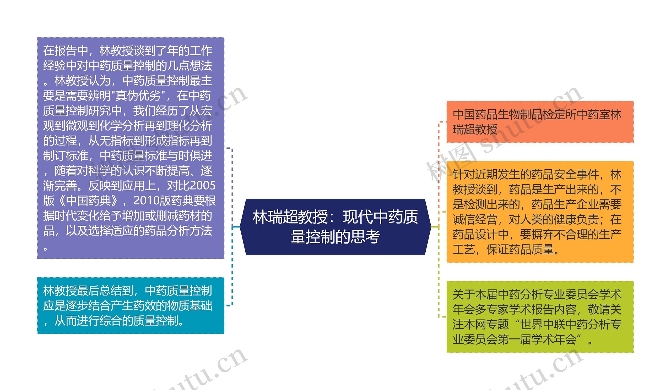 林瑞超教授：现代中药质量控制的思考思维导图