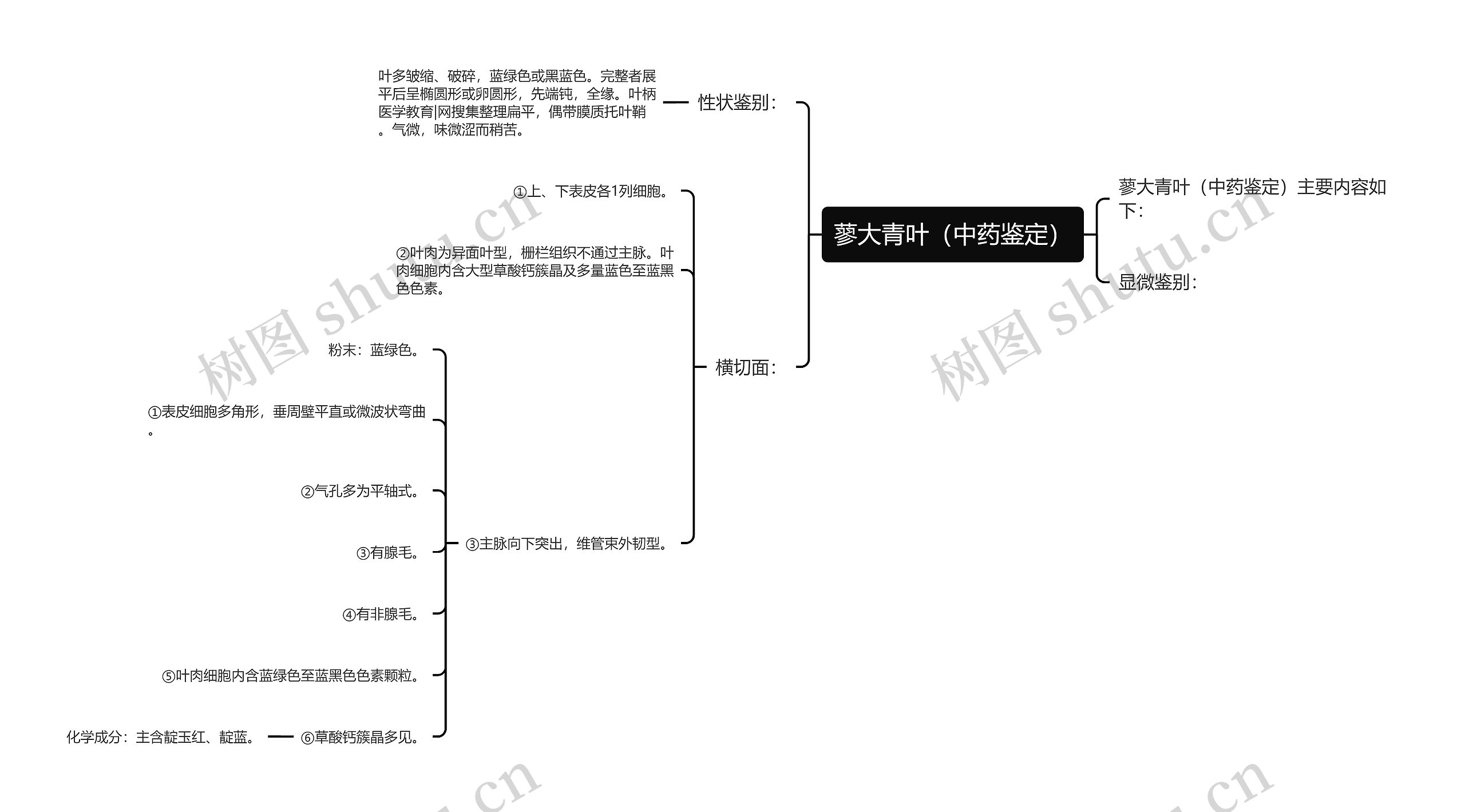 蓼大青叶（中药鉴定）思维导图