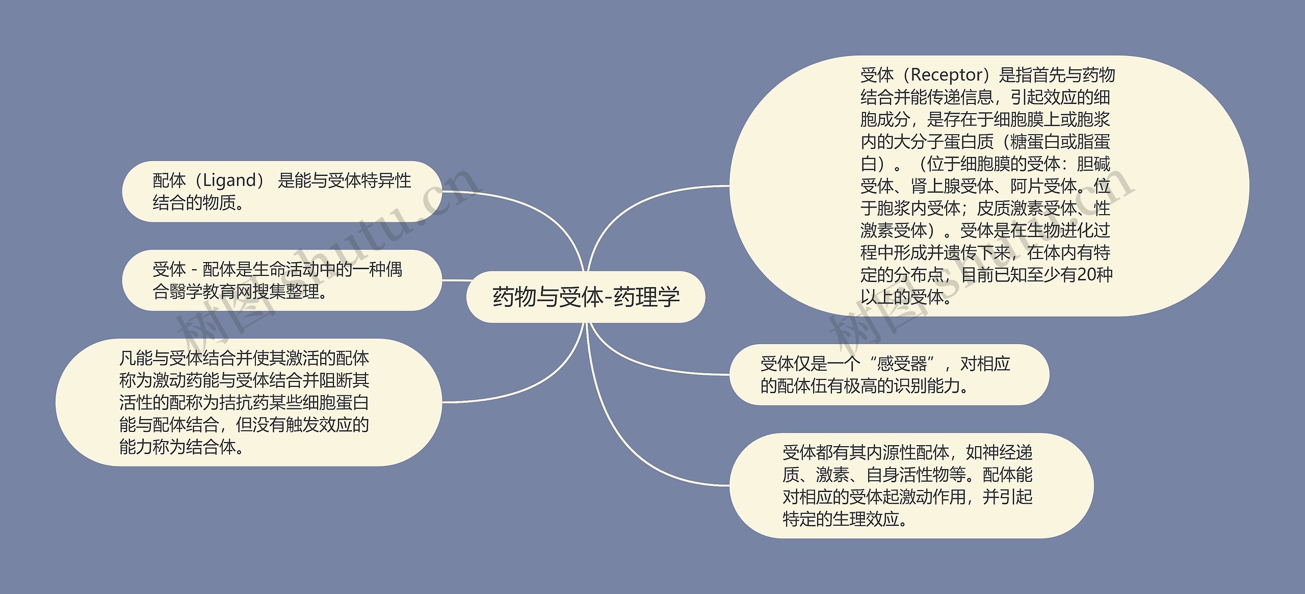 药物与受体-药理学