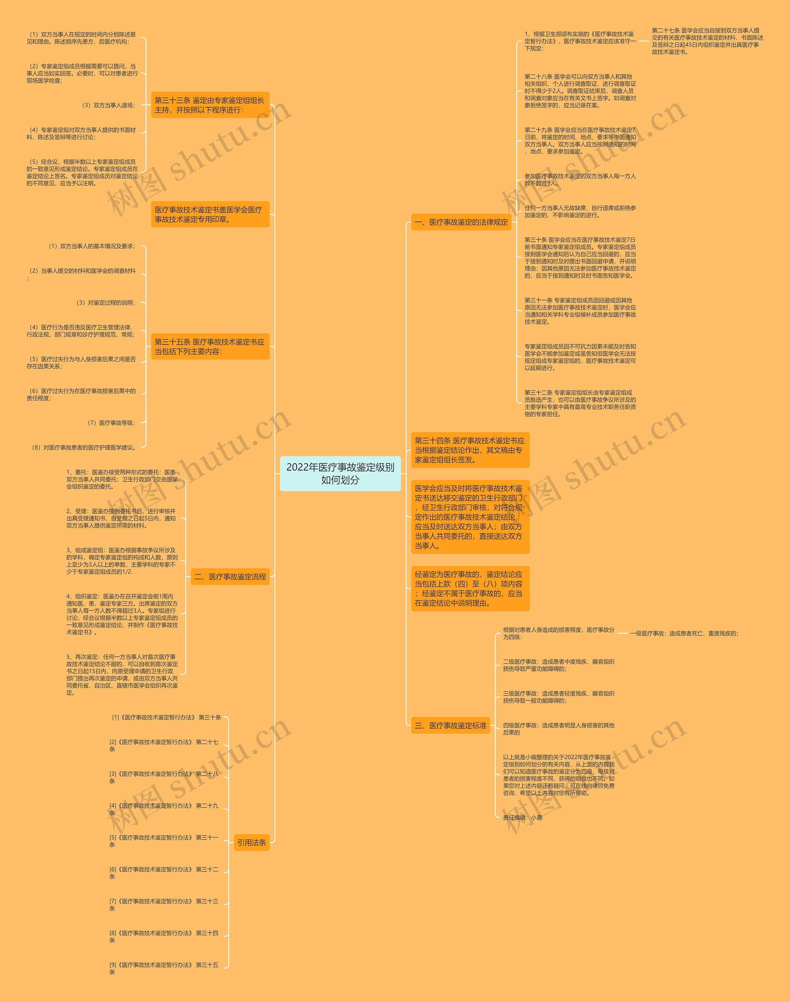 2022年医疗事故鉴定级别如何划分思维导图