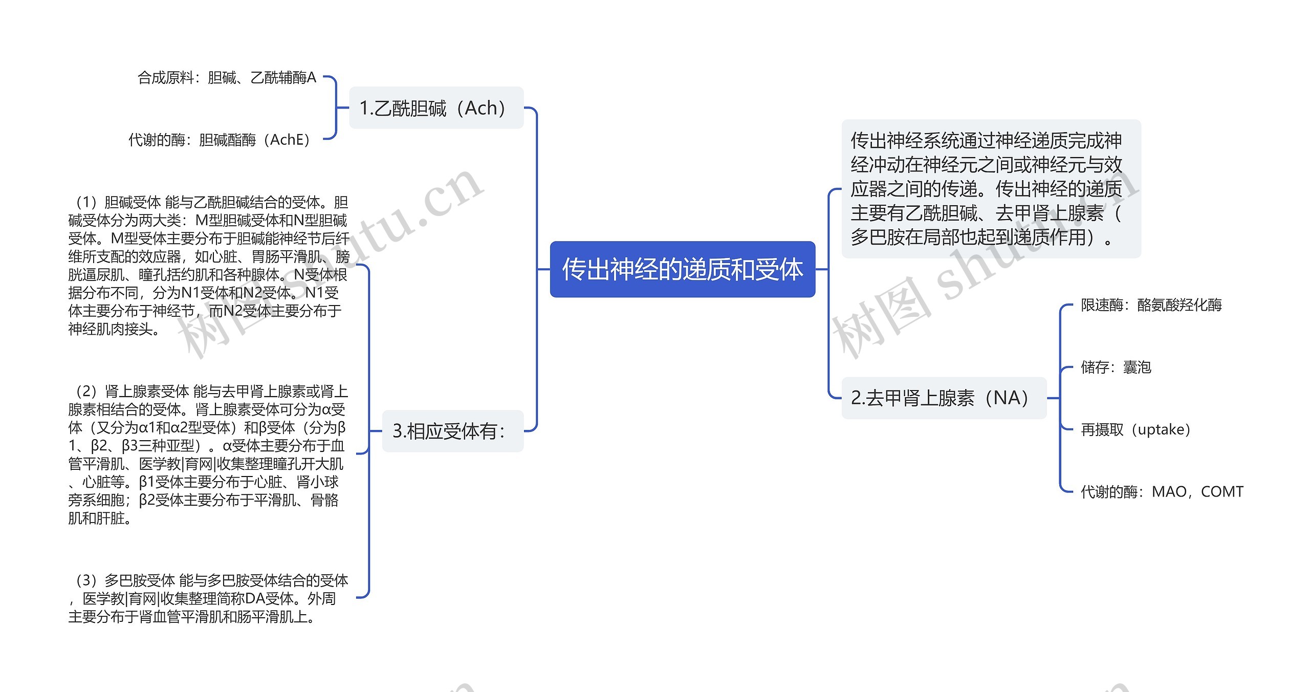 传出神经的递质和受体思维导图