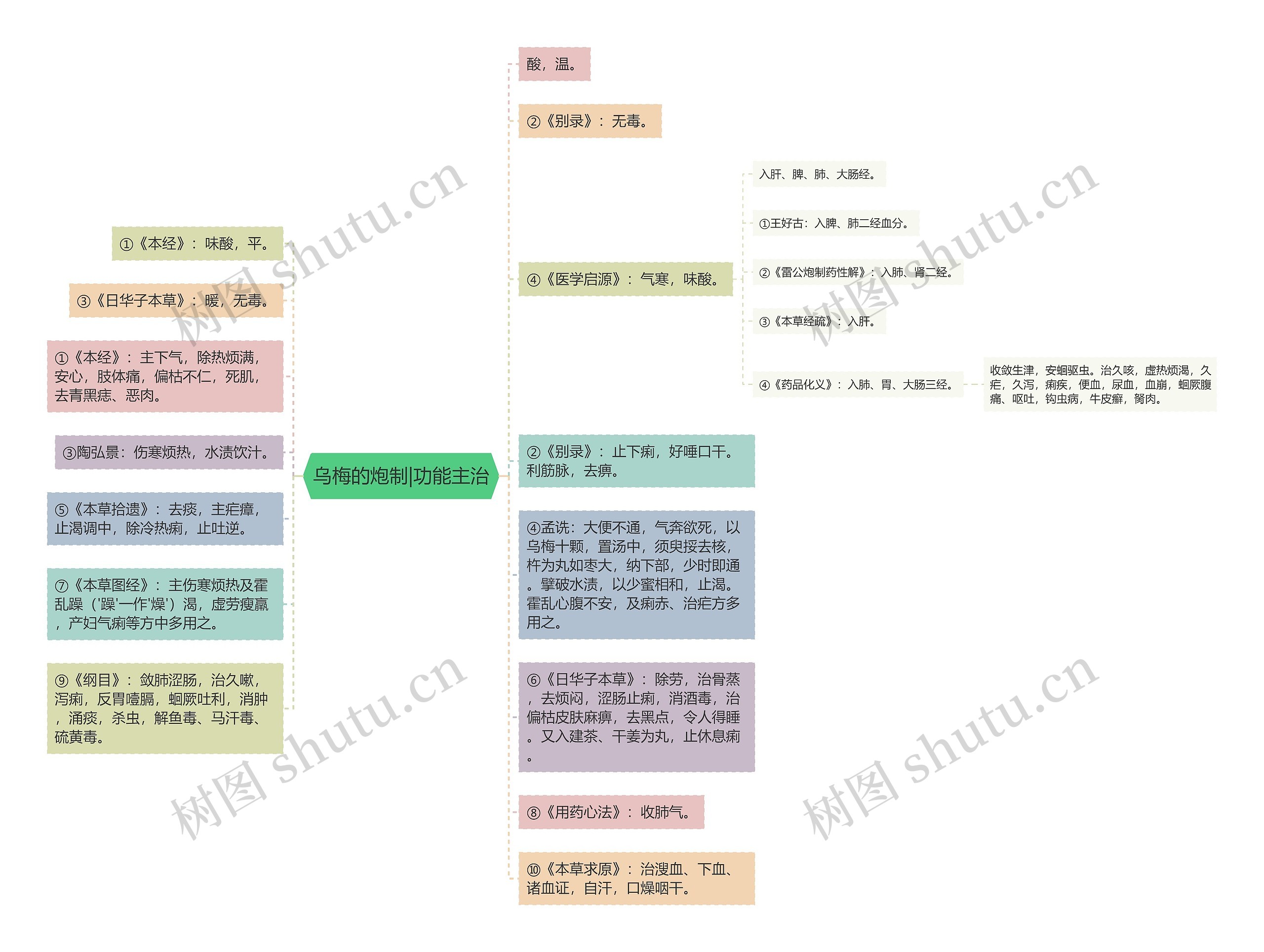 乌梅的炮制|功能主治思维导图
